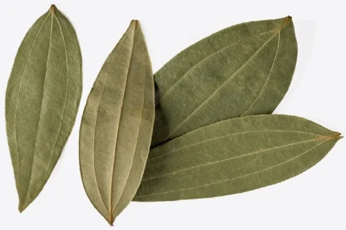 Tejpatta (Bay Leaf)