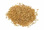 Premium Cumin Seeds