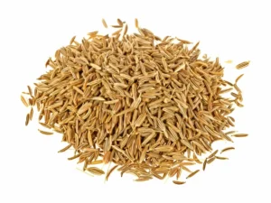 Premium Cumin Seeds