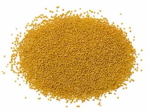 Yellow Mustard Seeds