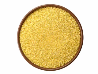 Yellow Mustard Seeds