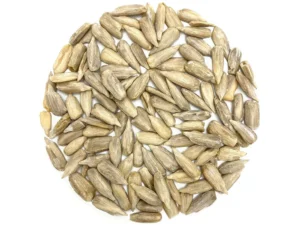 sunflower-seed