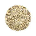 sunflower-seed